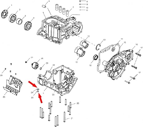 REPLACEMENTKITS.COM Crankcase Engine Oil Drain Plug & Washer 2pc Set Compatible with Polaris ACE General Ranger RZR Scrambler 570 900 1000 & Others Replaces 7052306