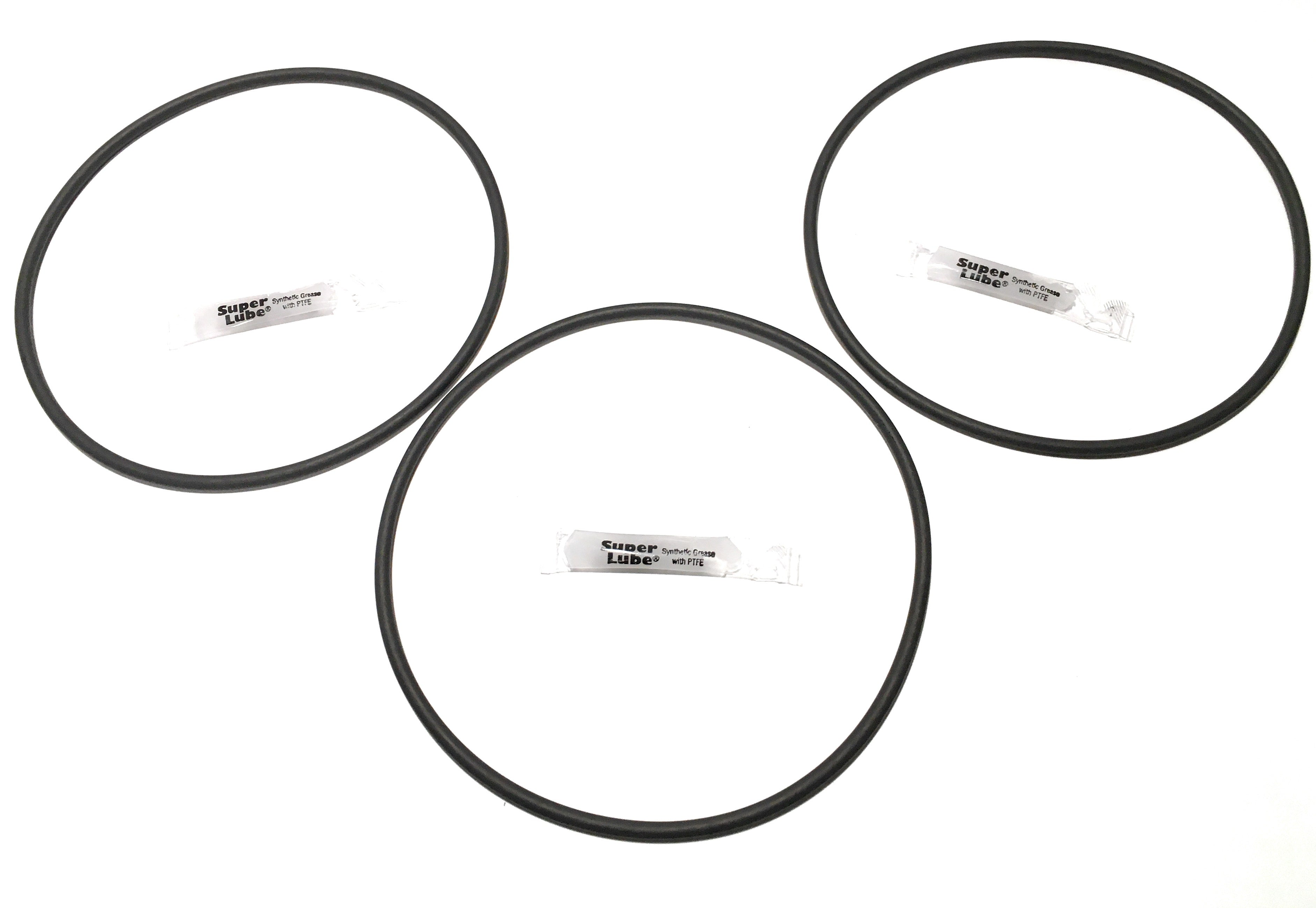 REPLACEMENTKITS.COM Brand Heavy Duty Filter Housing O-Ring Fits Big Bl