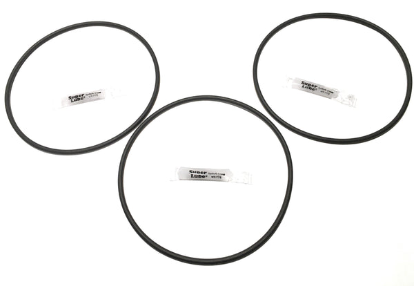 REPLACEMENTKITS.COM Brand Heavy Duty Filter Housing O-Ring Fits Big Blue Housings Replaces Pentair Pentek 151122, Culligan OR-100, ACE 4001756 & AP WP-10 OR